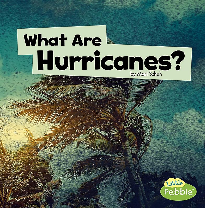 What Are Hurricanes? (Wicked Weather) by Mari Schuh
