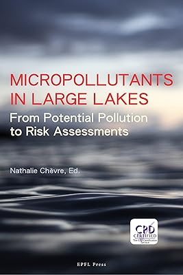 Micropollutants in Large Lakes: From Potential Pollution Sources to Risk Assessments