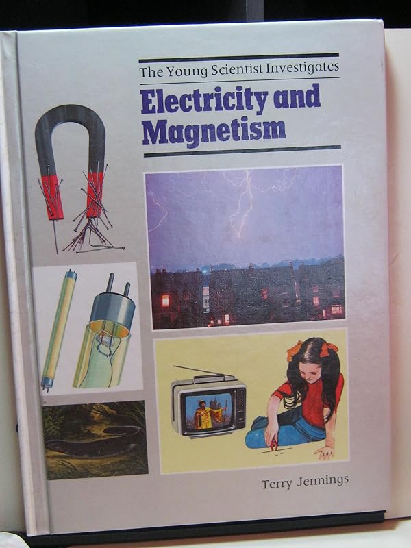 Electricity and Magnetism (The Young Scientist Investigates) by Terry J. Jennings