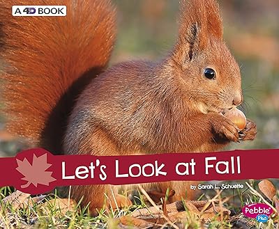 Let's Look at Fall: A 4D Book (Investigate the Seasons)
