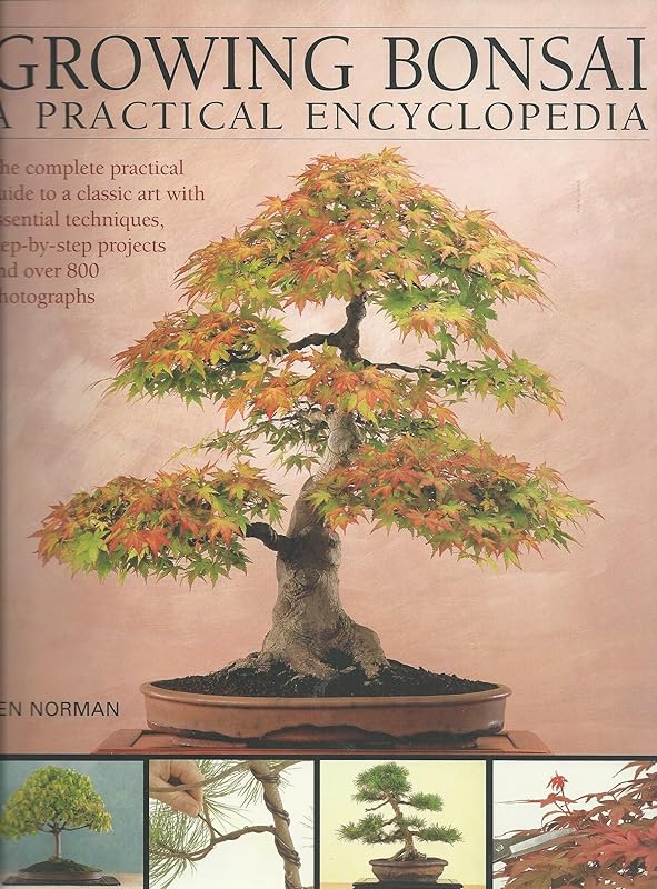Growing Bonsai: A Practical Encyclopedia by Ken Norman