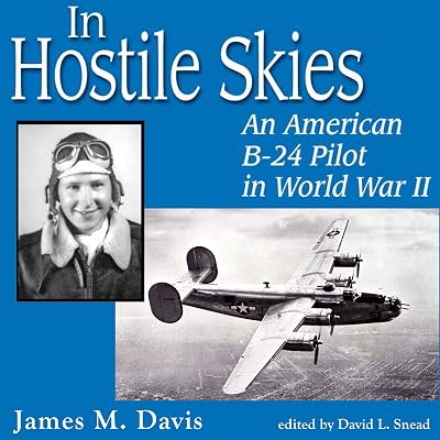 In Hostile Skies: An American B-24 Pilot in World War II