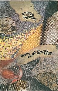 Streets Enough to Welcome Snow by Rosmarie Waldrop
