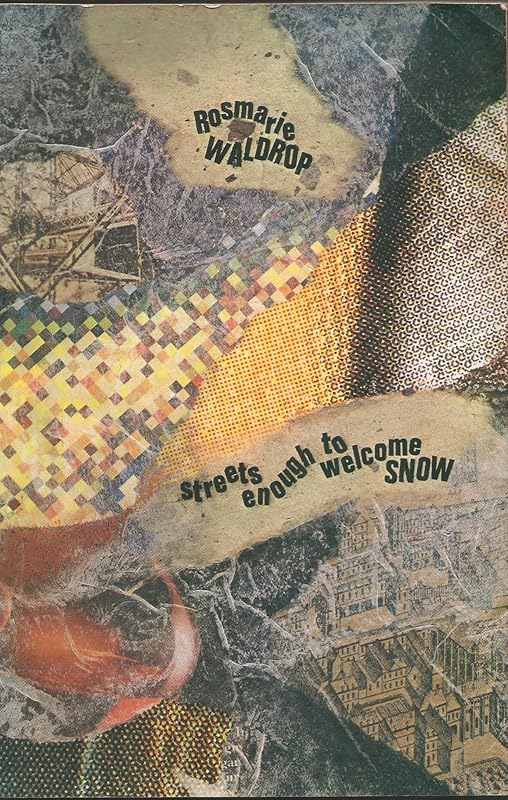 Streets Enough to Welcome Snow by Rosmarie Waldrop
