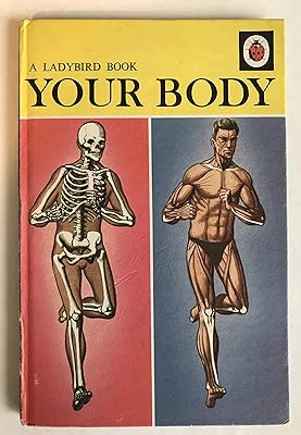 Your Body