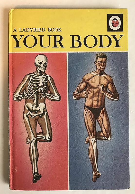 Your Body by Ladybird