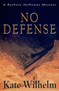 No Defense (A Barbara Holloway Novel Book 5)