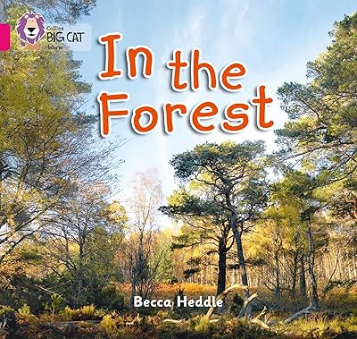 In the Forest: Band 01B/Pink B (Collins Big Cat)