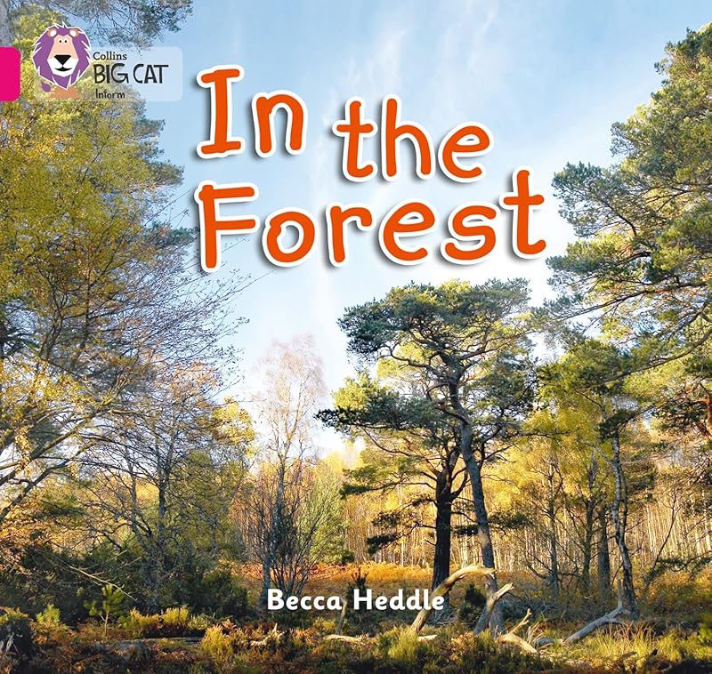 In the Forest: Band 01B/Pink B (Collins Big Cat) by Becca Heddle
