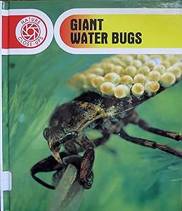 Giant Water Bugs (Nature Close-Ups)