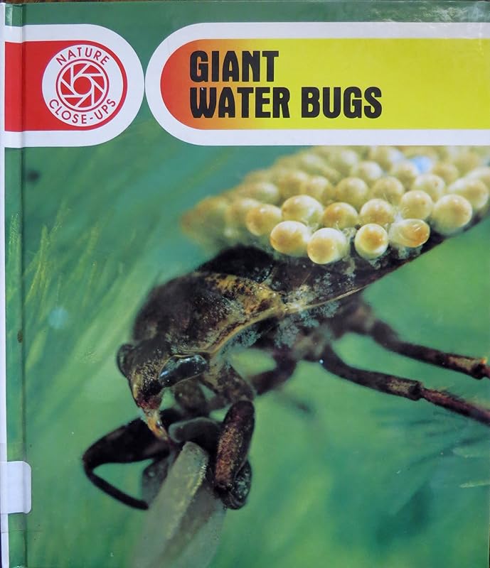 Giant Water Bugs (Nature Close-Ups) by Kathleen Pohl