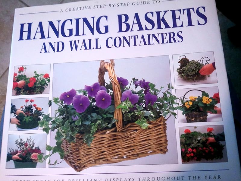 A Creative Step-By-Step Guide to Hanging Baskets and Wall Containers (Sbs Series) by Jenny Hendy