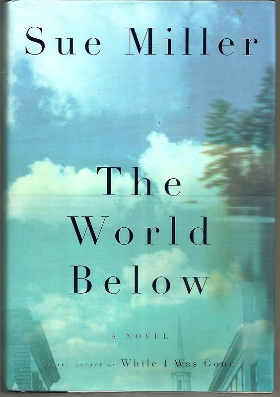 The World Below by Sue Miller