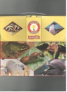Read and Discover Animals (animal discovery briefcase)