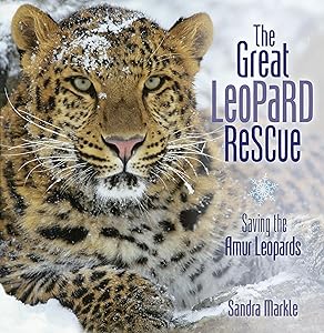 The Great Leopard Rescue: Saving the Amur Leopards (Sandra Markle's Science Discoveries)