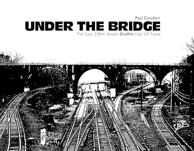 Under the Bridge: The East 238th Street Graffiti Hall of Fame