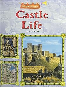 Castle Life (The Age of Castles) by Struan Reid