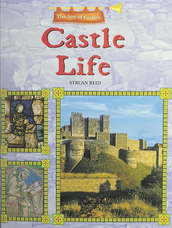 Castle Life (The Age of Castles) by Struan Reid