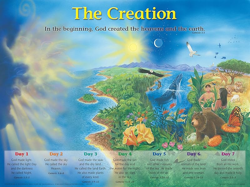The Creation Wall Chart (Charts) by Rose Publishing
