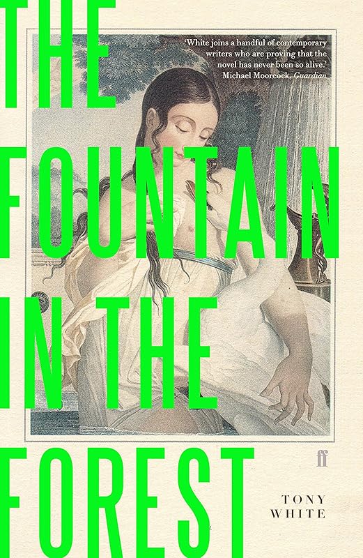 The Fountain in the Forest by Tony White