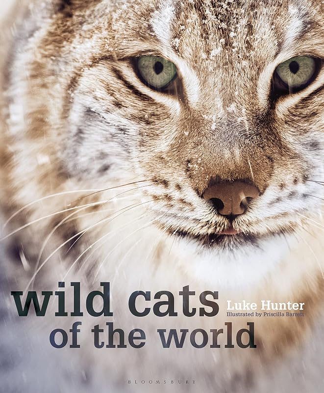 Wild Cats of the World by Luke Hunter