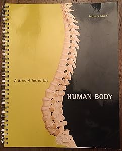 Brief Atlas of the Human Body, A by Matt Hutchinson