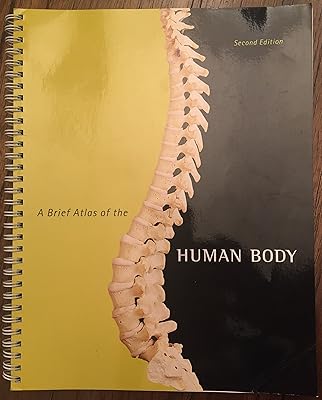 Brief Atlas of the Human Body, A