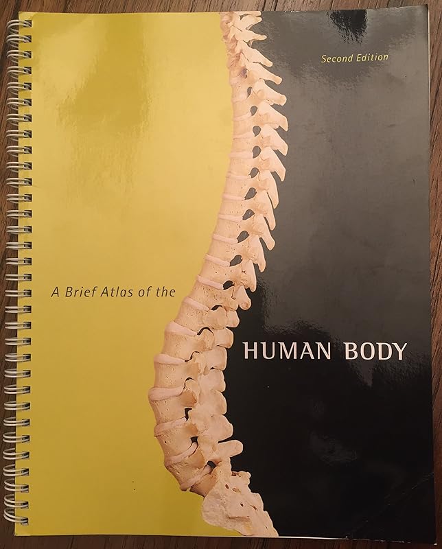 Brief Atlas of the Human Body, A by Matt Hutchinson