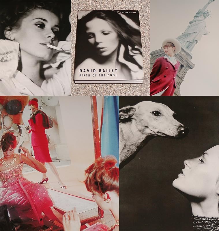 Birth of the Cool: 1957-1969 by Martin Harrison