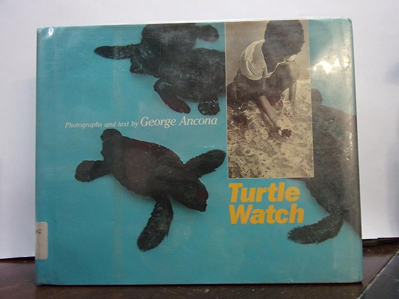 TURTLE WATCH by Ancona