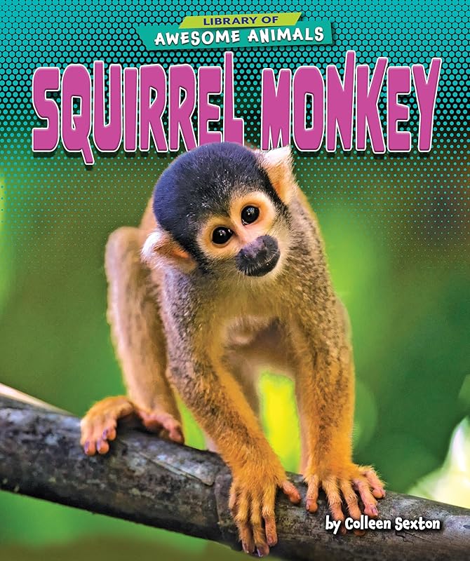 Squirrel Monkey - Non-Fiction Reading for Grade 3, Developmental Learning for Young Readers - Library of Awesome Animals (Library of Awesome Animals Set Three) by Colleen Sexton