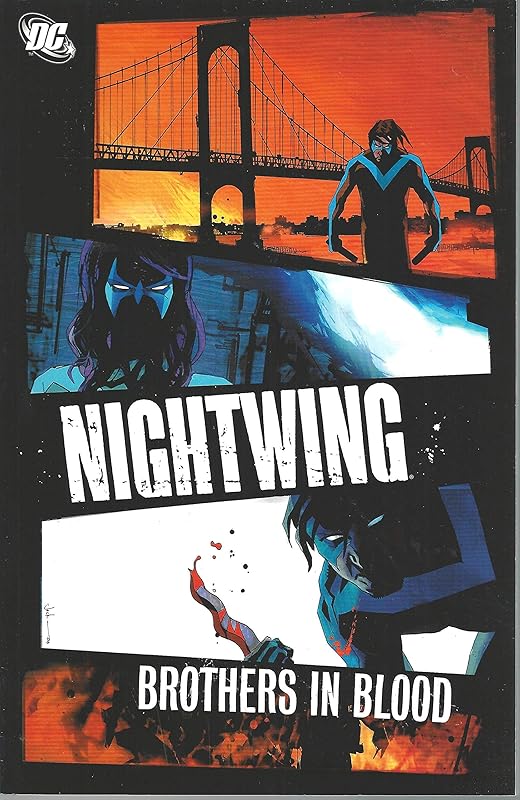 Nightwing: Brothers in Blood by Bruce Jones