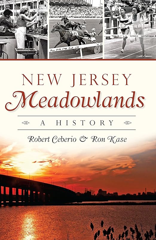 New Jersey Meadowlands: A History (Brief History) by Robert Ceberio