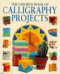 Calligraphy Projects (Usborne Practical Guides)