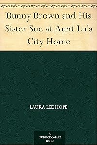 Bunny Brown and His Sister Sue at Aunt Lu's City Home