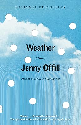 Weather: A novel