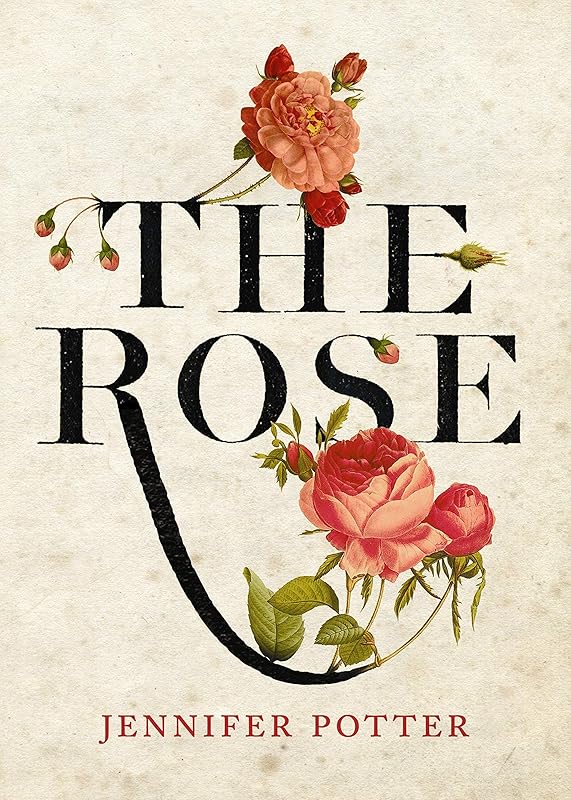 The Rose by Jennifer Potter