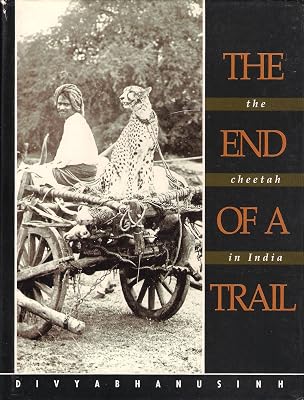 The end of a trail: The cheetah in India