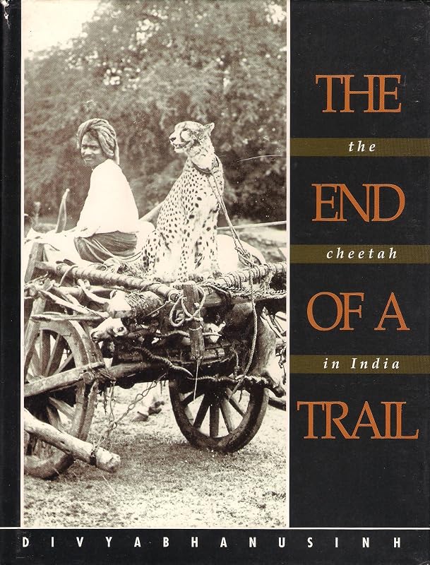 The end of a trail: The cheetah in India by Divyabhanusinh