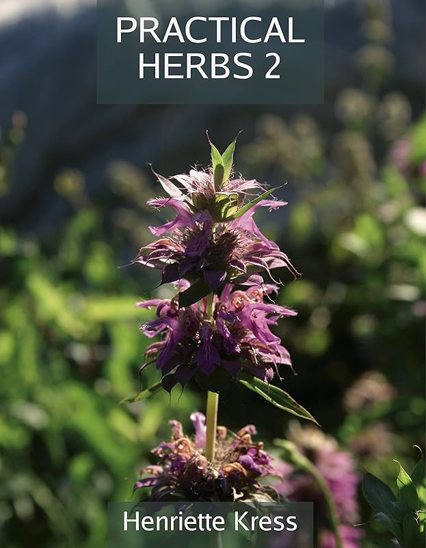 Practical Herbs 2 (Practical Herbs series) by Henriette Kress
