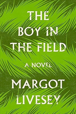 The Boy in the Field: A Novel