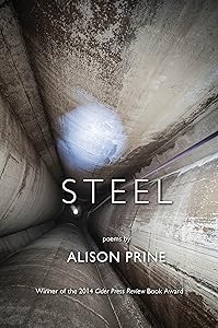 Steel by Alison Prine