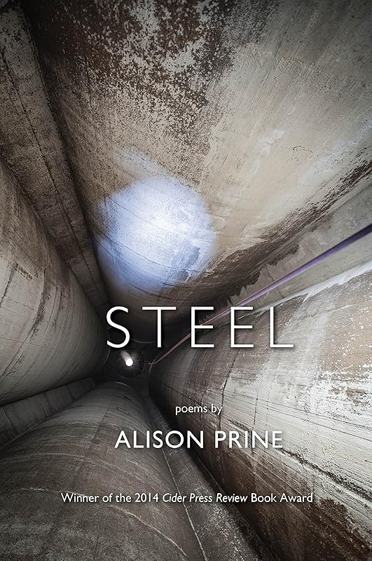 Steel by Alison Prine