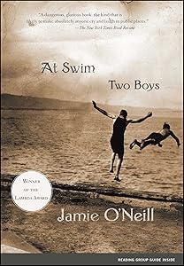 At Swim, Two Boys: A Novel (Award-Winning Fiction)