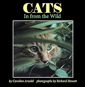 Cats: In from the Wild