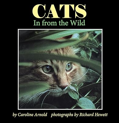 Cats: In from the Wild