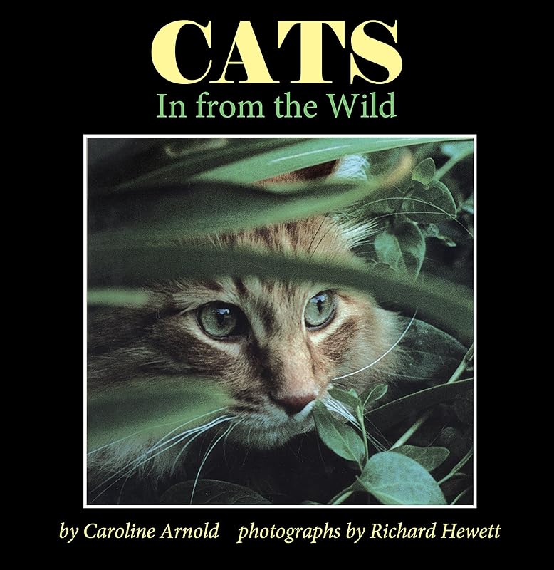 Cats: In from the Wild by Caroline Arnold