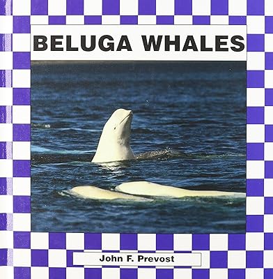 Beluga Whales