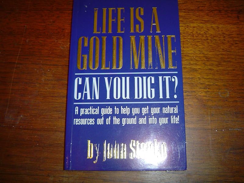 Life Is A Goldmine Can You Dig It? by John Stanko