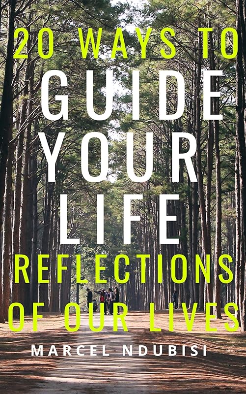 20 Ways to Guide Your Life: Reflections of out Lives by Nnajike Ndubisi